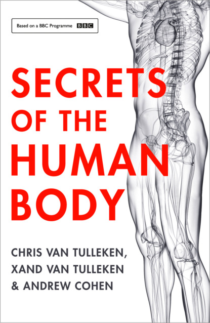 Скачать книгу Secrets of the Human Body