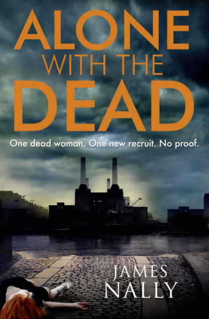 Скачать книгу Alone with the Dead: A PC Donal Lynch Thriller