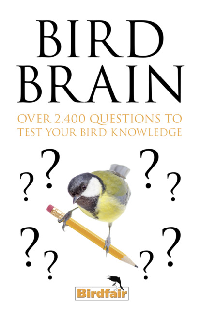 Скачать книгу Bird Brain: Over 2,400 Questions to Test Your Bird Knowledge