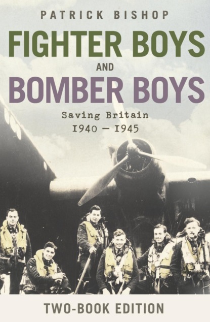 Скачать книгу Fighter Boys and Bomber Boys: Saving Britain 1940-1945