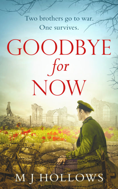 Скачать книгу Goodbye for Now: A breathtaking historical debut