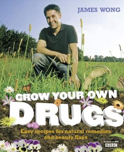 Скачать книгу Grow Your Own Drugs: A Year With James Wong