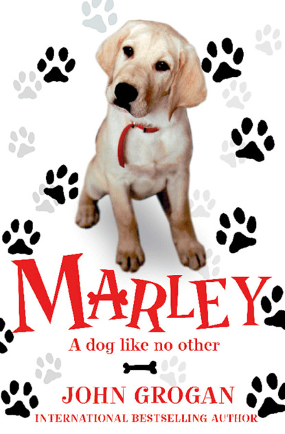 Скачать книгу Marley: A Dog Like No Other