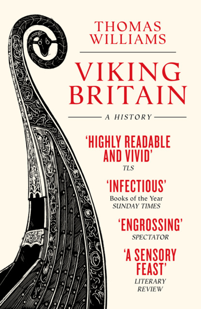Скачать книгу Viking Britain: A History