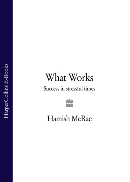 Скачать книгу What Works: Success in Stressful Times