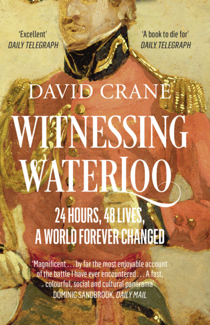 Скачать книгу Witnessing Waterloo: 24 Hours, 48 Lives, A World Forever Changed