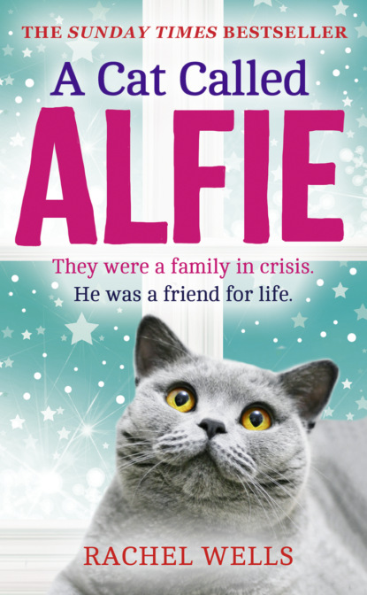 Скачать книгу A Cat Called Alfie