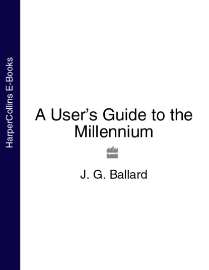 Скачать книгу A User’s Guide to the Millennium