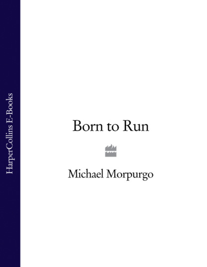 Скачать книгу Born to Run