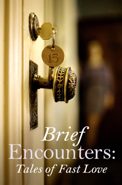 Скачать книгу Brief Encounters
