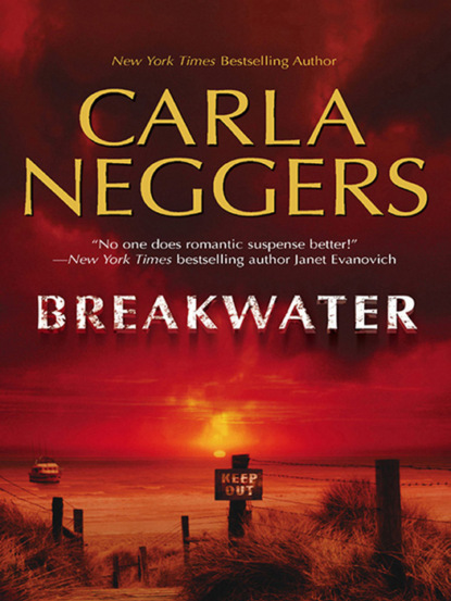 Скачать книгу Breakwater