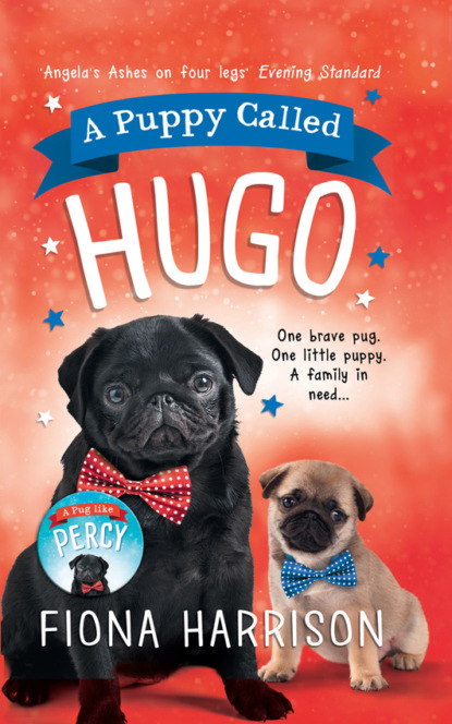 Скачать книгу A Puppy Called Hugo