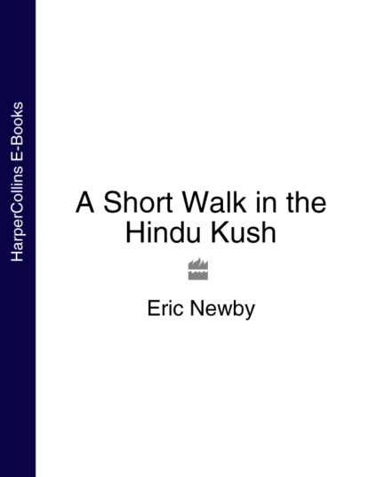 Скачать книгу A Short Walk in the Hindu Kush