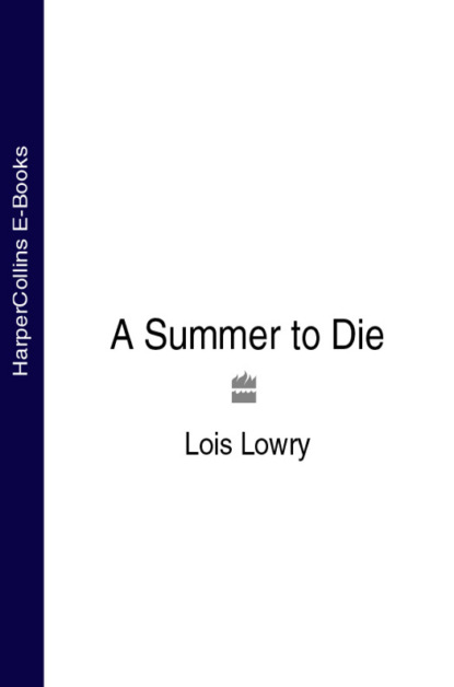 Скачать книгу A Summer to Die