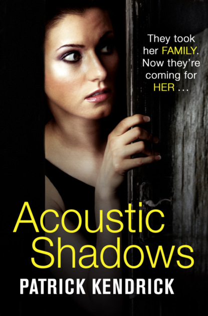 Скачать книгу Acoustic Shadows