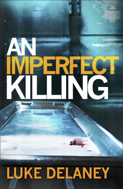 Скачать книгу An Imperfect Killing