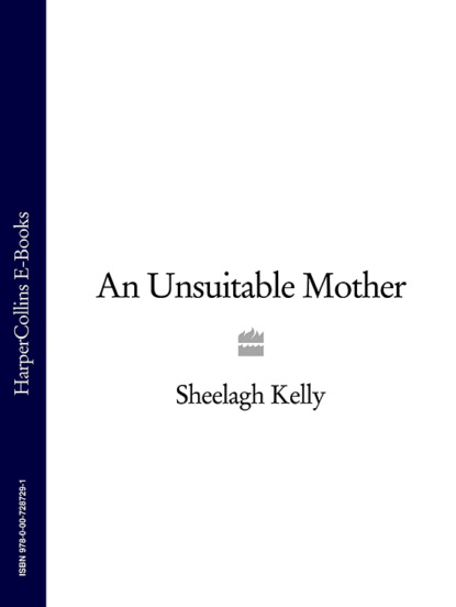 Скачать книгу An Unsuitable Mother