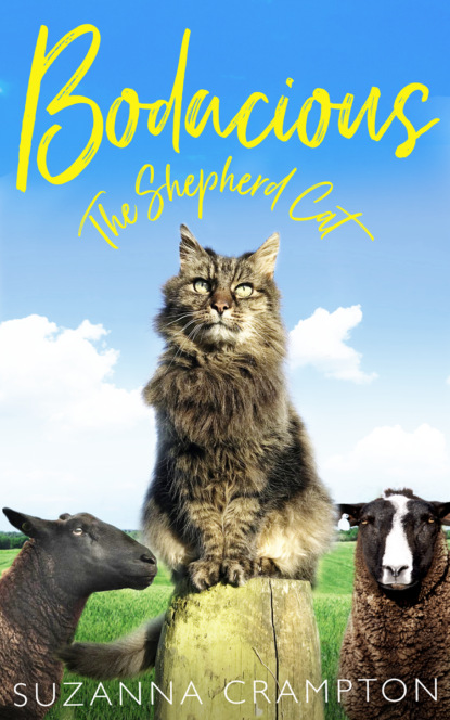 Скачать книгу Bodacious: The Shepherd Cat