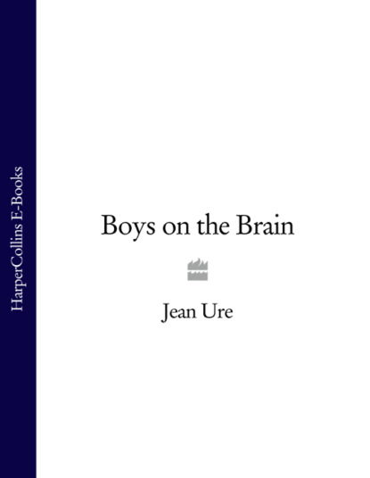 Скачать книгу Boys on the Brain