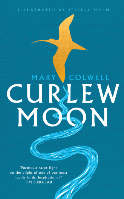 Скачать книгу Curlew Moon