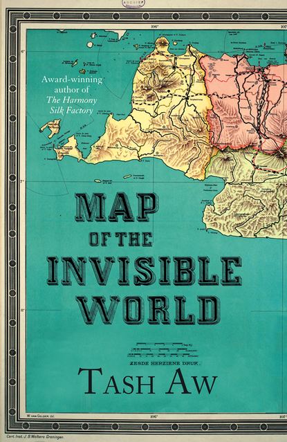 Скачать книгу Map of the Invisible World