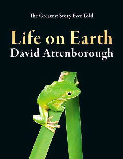 Скачать книгу Life on Earth