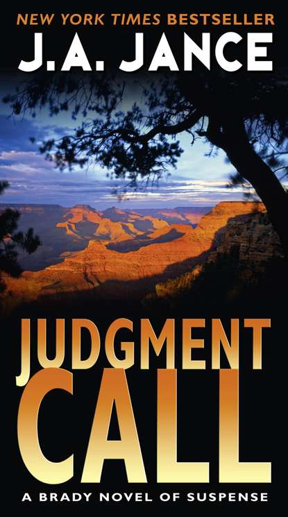 Скачать книгу Judgment Call