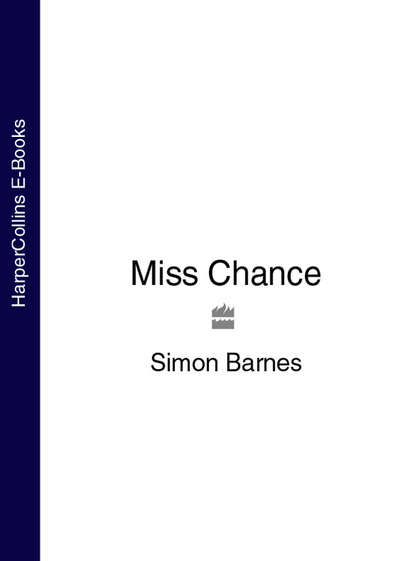 Скачать книгу Miss Chance