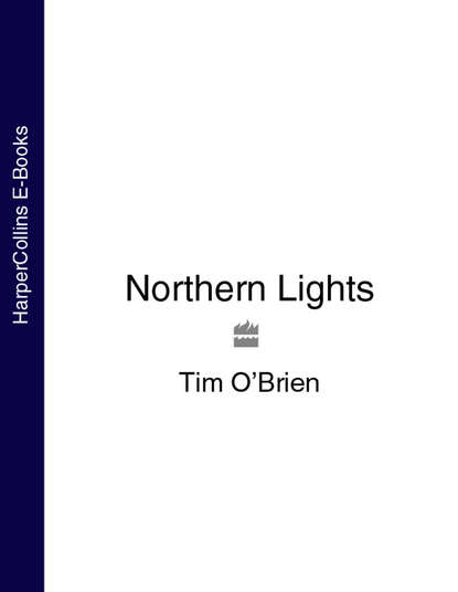 Скачать книгу Northern Lights