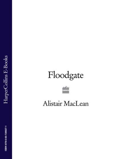 Скачать книгу Floodgate