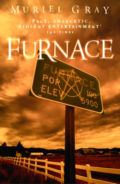 Скачать книгу Furnace