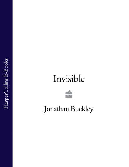 Скачать книгу Invisible