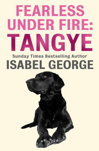 Скачать книгу Fearless Under Fire: Tangye
