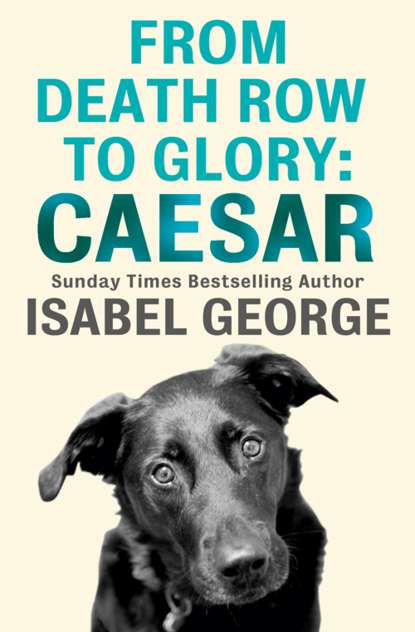 Скачать книгу From Death Row To Glory: Caesar