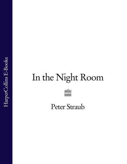 Скачать книгу In the Night Room