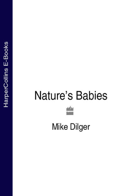 Скачать книгу Nature’s Babies