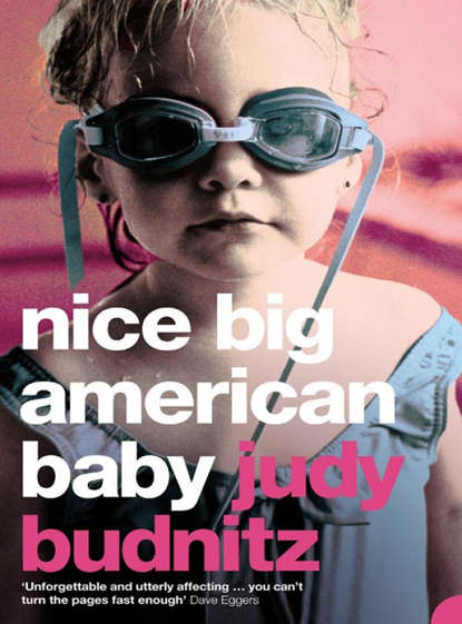 Скачать книгу Nice Big American Baby