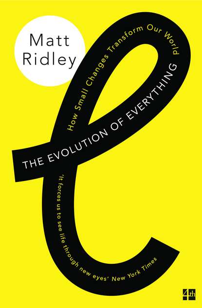 Скачать книгу The Evolution of Everything: How Small Changes Transform Our World
