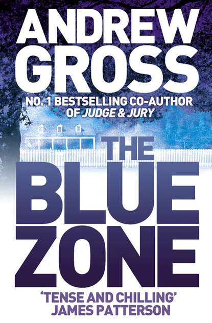 Скачать книгу The Blue Zone