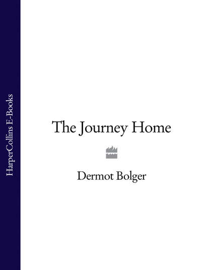 Скачать книгу The Journey Home