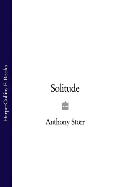 Скачать книгу Solitude