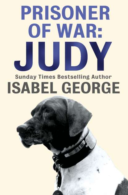 Скачать книгу Prisoner of War: Judy