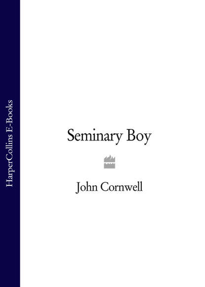 Скачать книгу Seminary Boy