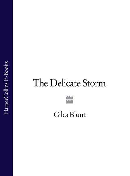 Скачать книгу The Delicate Storm