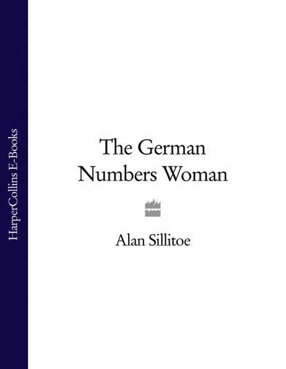 Скачать книгу The German Numbers Woman