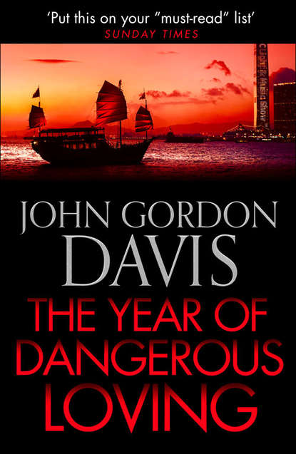 Скачать книгу The Year of Dangerous Loving