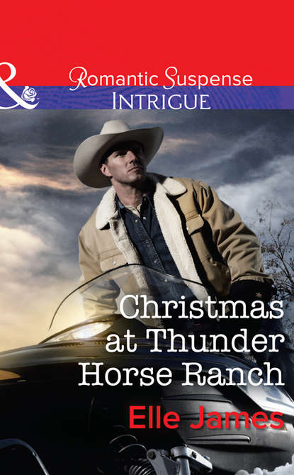 Скачать книгу Christmas at Thunder Horse Ranch