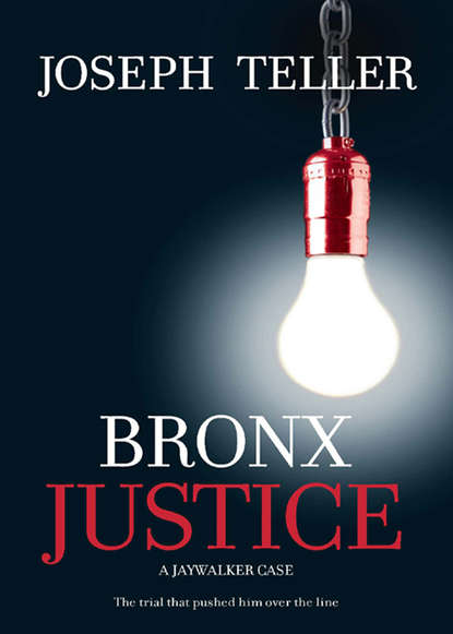 Скачать книгу Bronx Justice