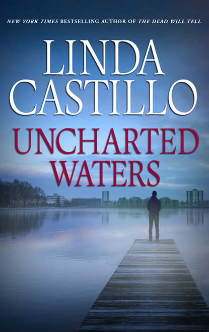 Скачать книгу Uncharted Waters