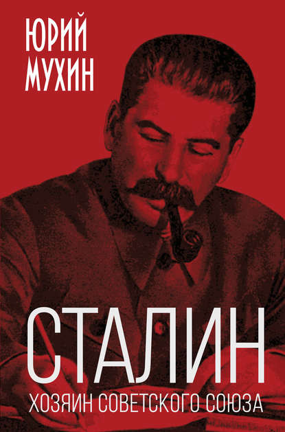 Скачать книгу Сталин – хозяин Советского Союза